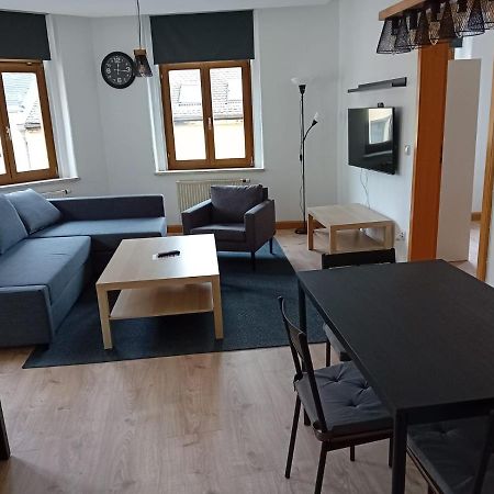 Apartmán Zentral Und Ruhig In Auerbach Auerbach  Exteriér fotografie