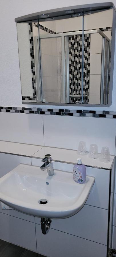 Apartmán Zentral Und Ruhig In Auerbach Auerbach  Exteriér fotografie