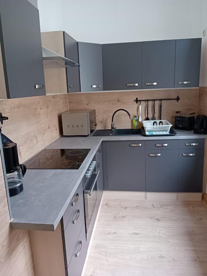 Apartmán Zentral Und Ruhig In Auerbach Auerbach  Exteriér fotografie
